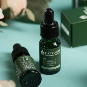 Ống nhựa UPVC/CPVC